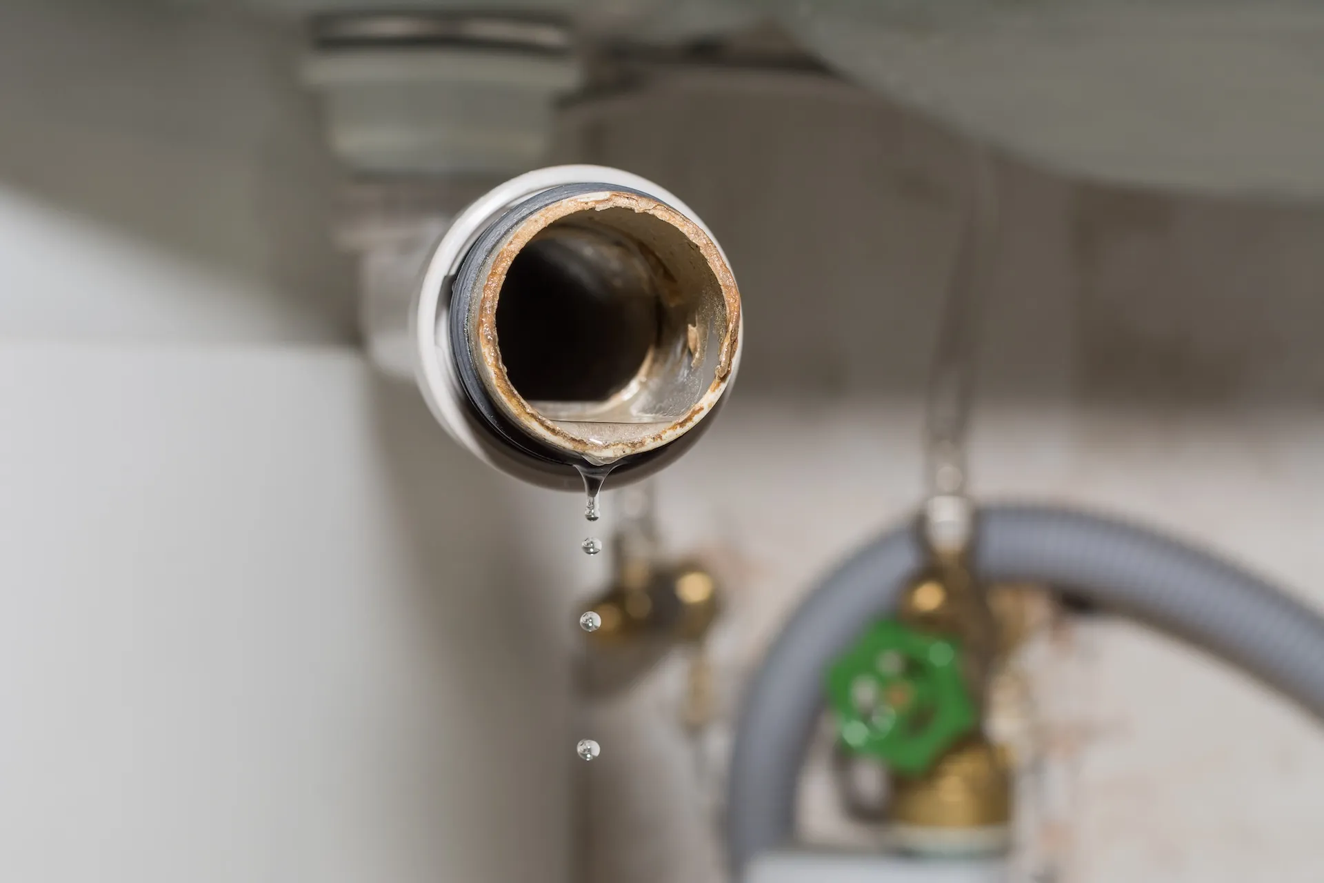 Drain King plumbing background