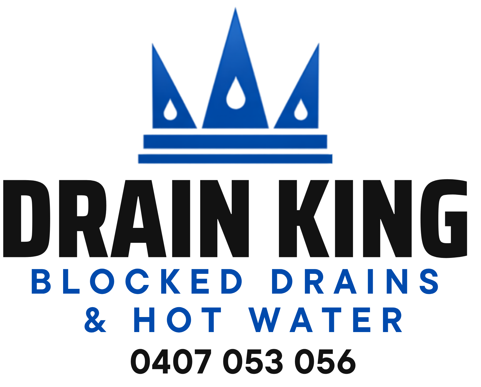 Drain King - Blocked Drains & Hot Water logo