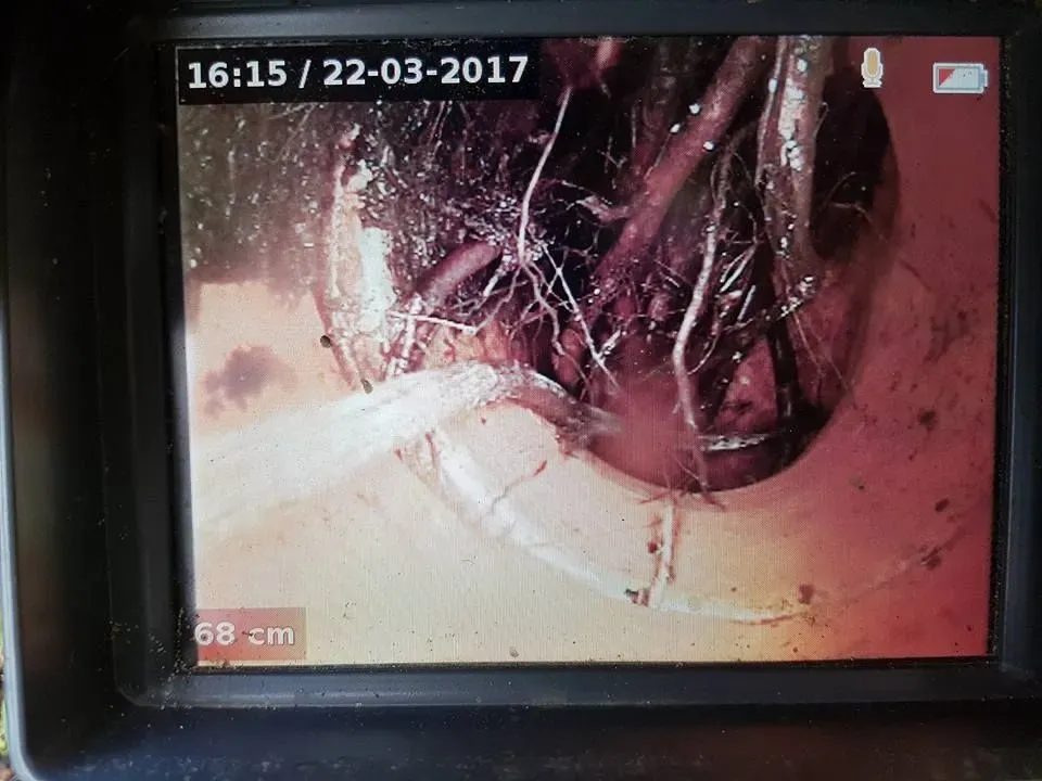 CCTV Pipe Inspections by Drain King